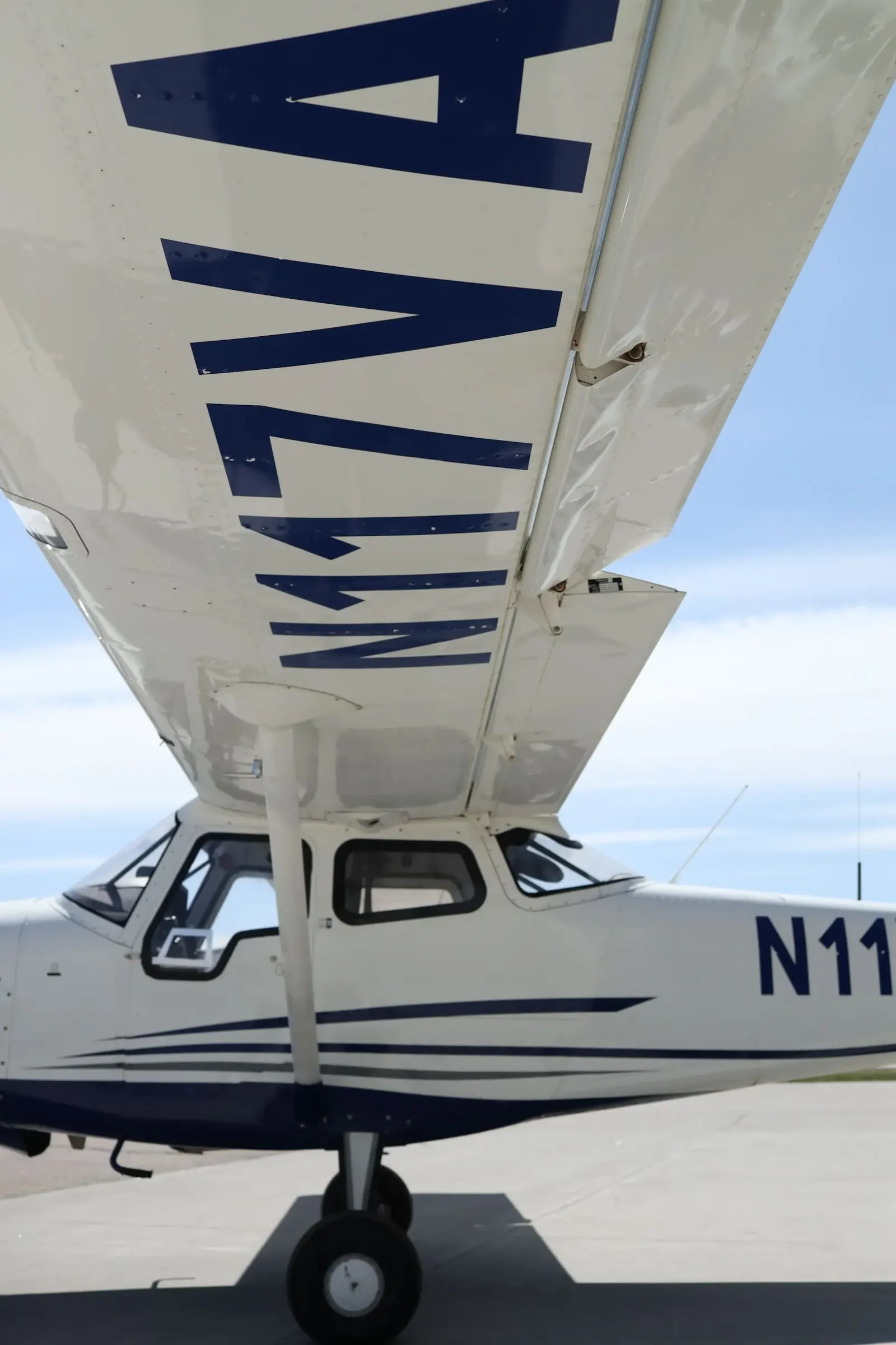Aircraft tail and wing